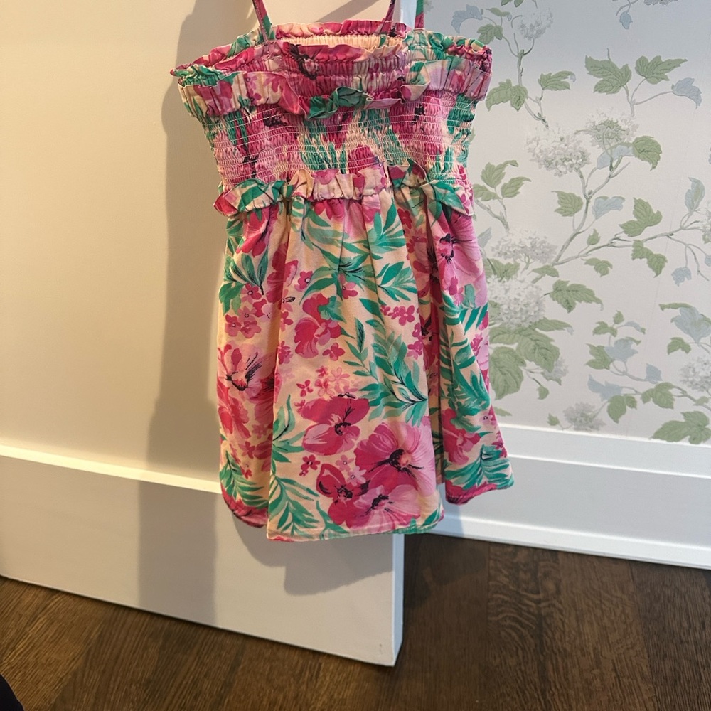 J.Crew Crewcits Floral Pink and Green Kids Casual Dress
